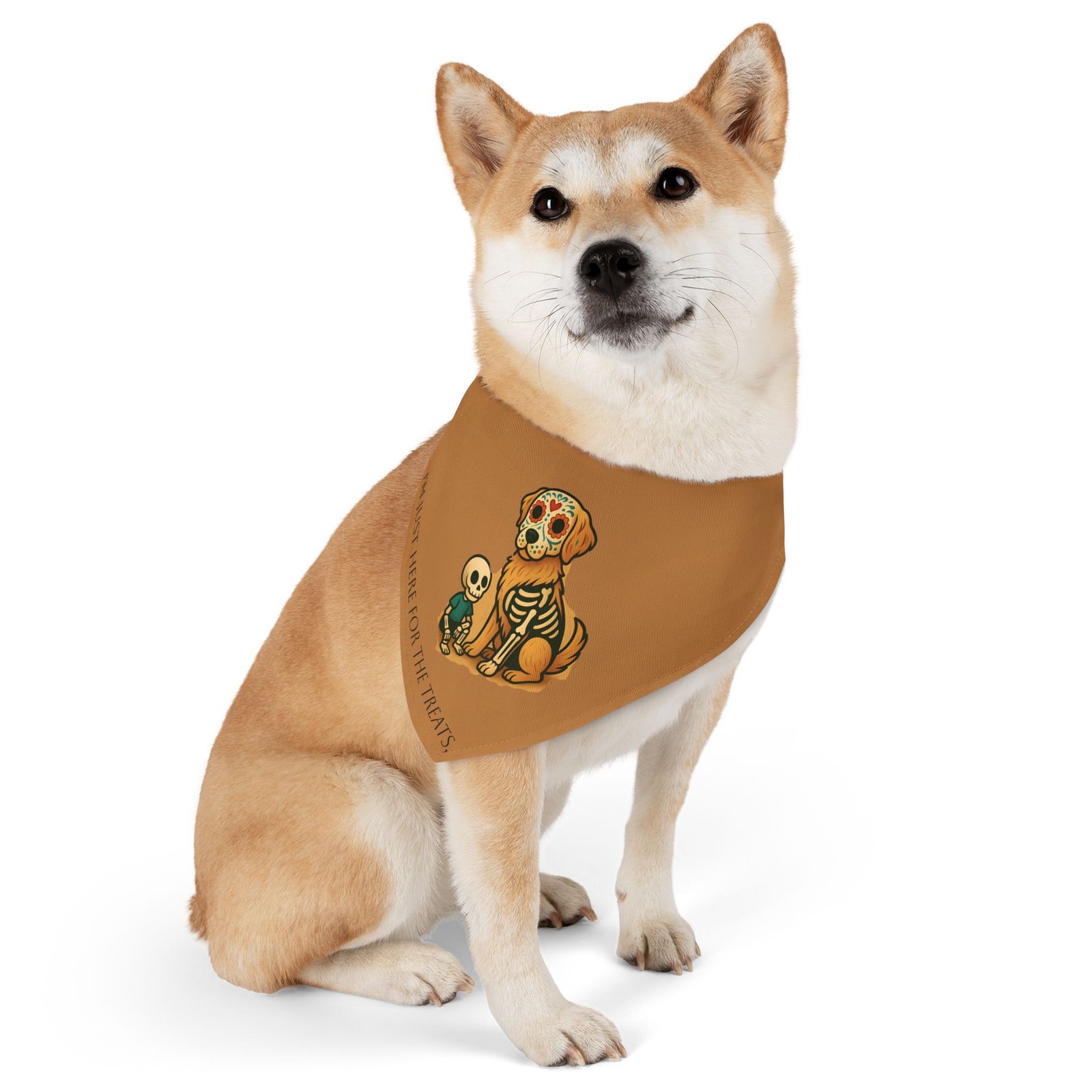 Bandana Collar for Halloween - Image 2