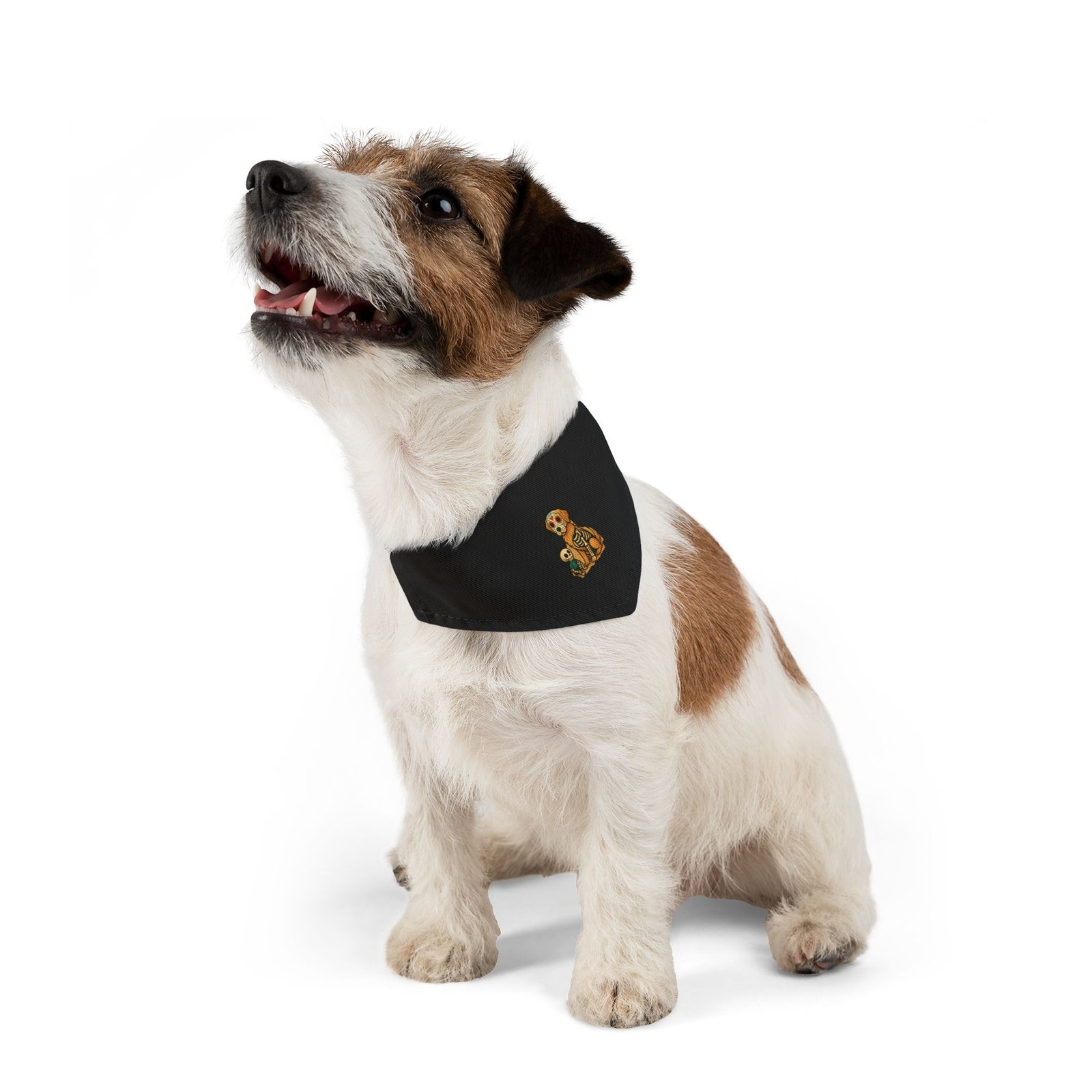 Copy of Bandana Collar for Halloween - black - Image 5