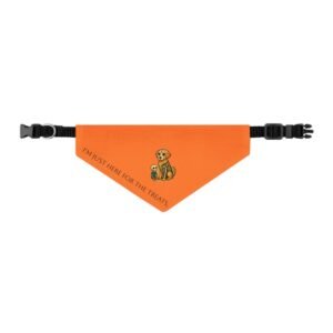 Small Bandana Collar for Halloween