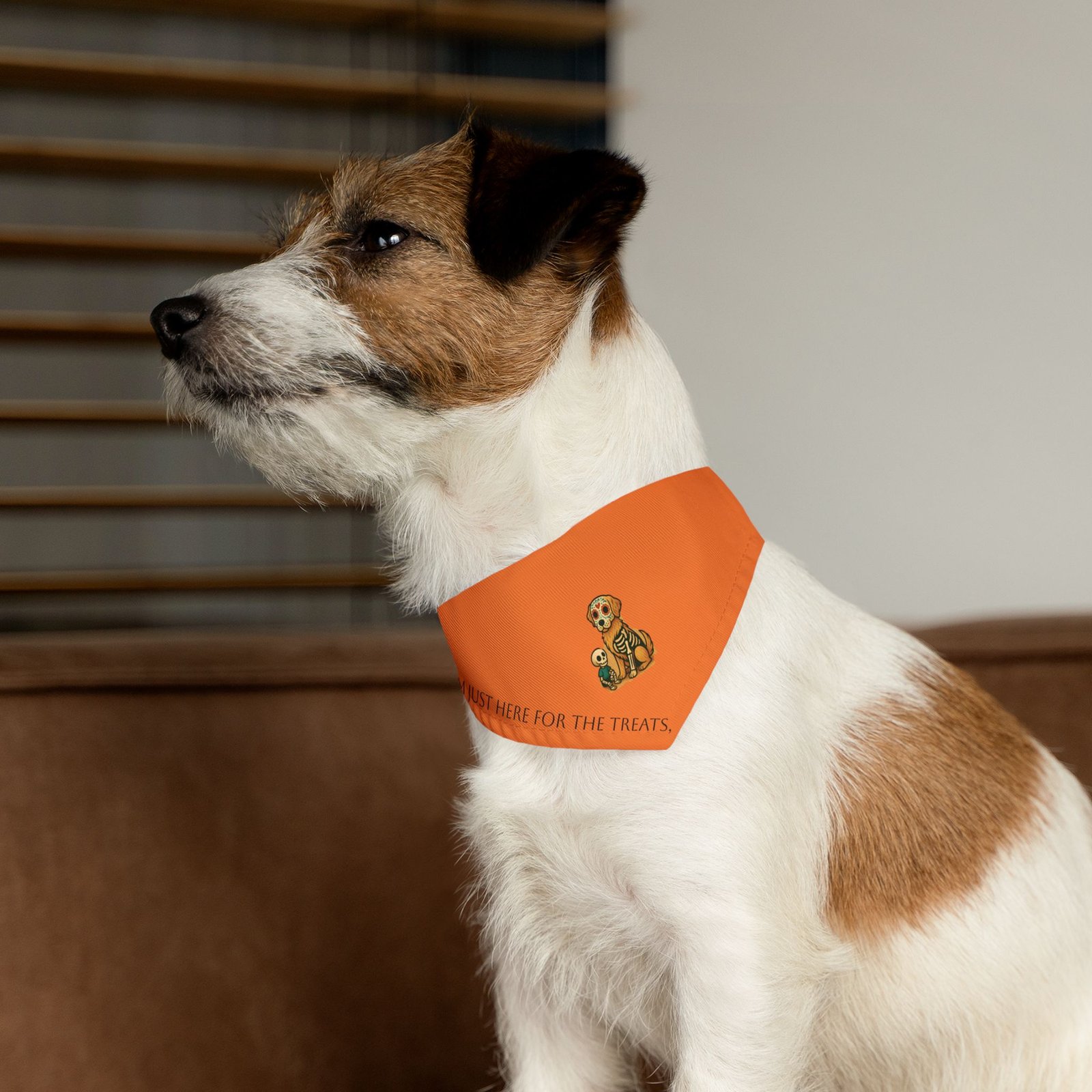 Small Bandana Collar for Halloween - Image 3