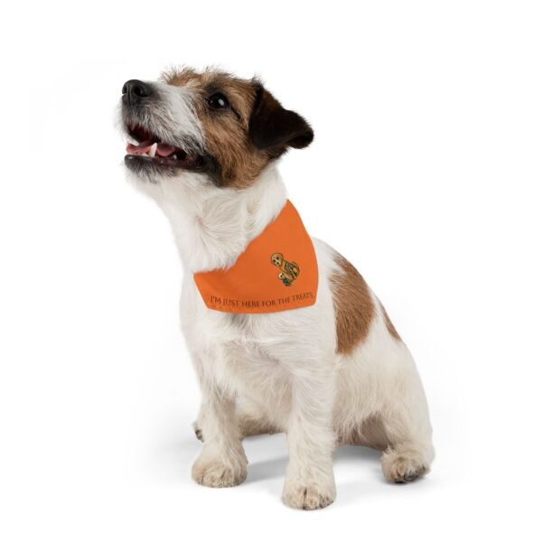 Small Bandana Collar for Halloween - Image 2