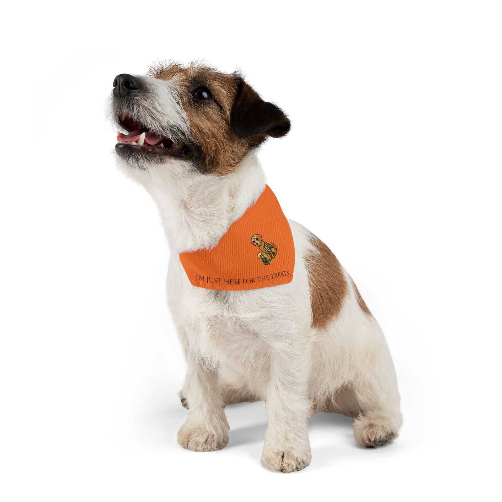 Small Bandana Collar for Halloween - Image 2