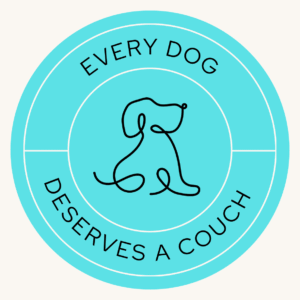 Every Dog Deserves a Couch